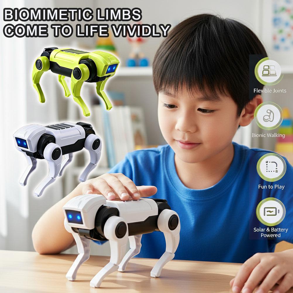Diy Robot Electronics Kit - DIY 조립 RC 로봇 개 장난감